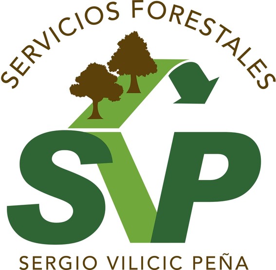 SERGIO VILICIC PEÑA